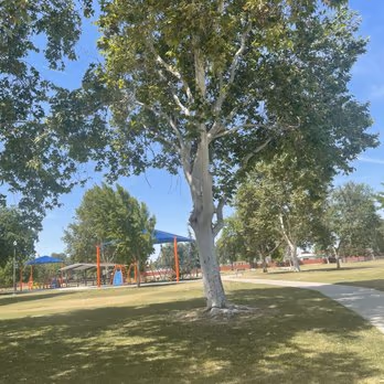 Seasons Dog Park photo 1